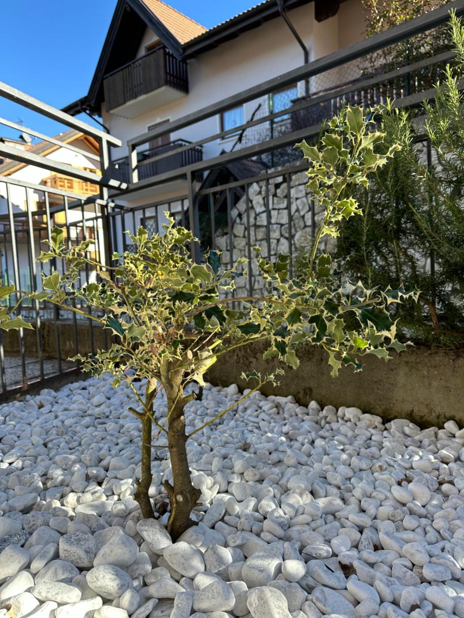 Casa Vacanza La Croseta Trient Exterior foto